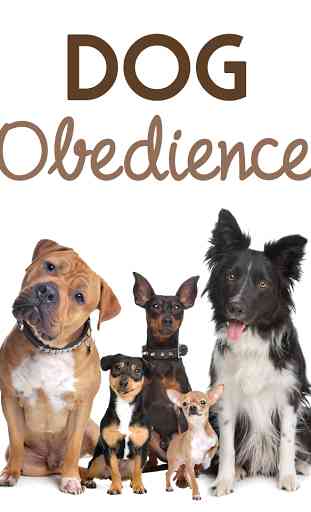 Dog Obedience 1