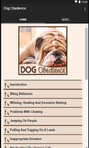 Dog Obedience 2