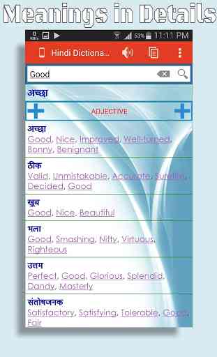 Hindi Dictionary (Offline) 1