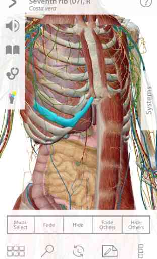 Human Anatomy Atlas 1