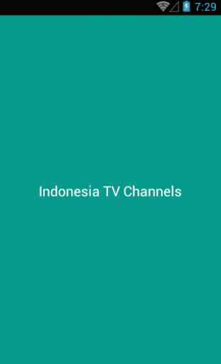 Indonesia TV Channels 1