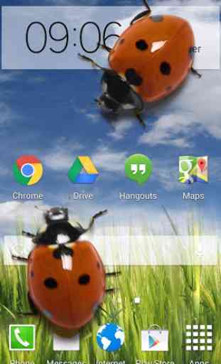 Ladybug in Phone Funny joke 1