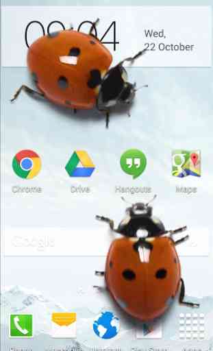 Ladybug in Phone Funny joke 2