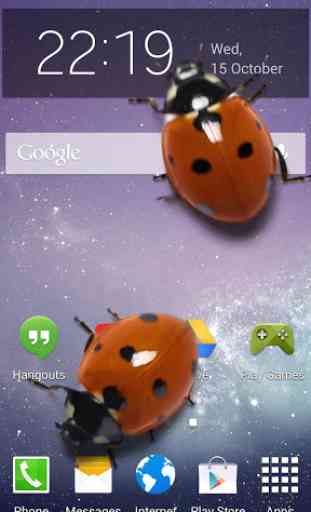 Ladybug in Phone Funny joke 3