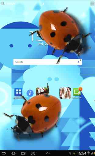 Ladybug in Phone Funny joke 4