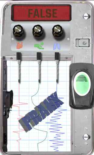Lie Detector Simulated 4