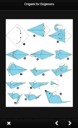 Origami for Beginners 3