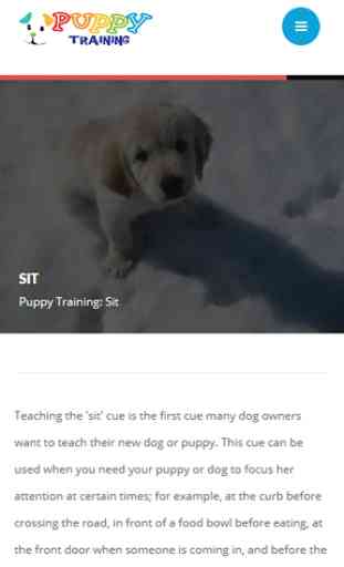 Puppy Training 2