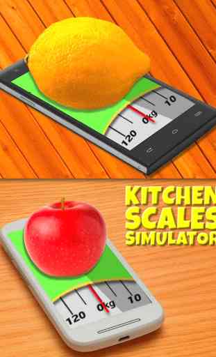 Scale in Grams Simulator 3