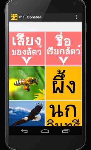 Thai Alphabet 3