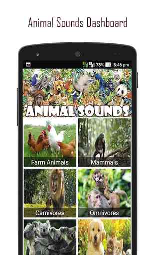 120 Animal Sounds 2
