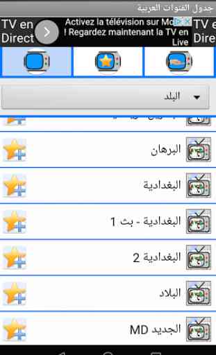 Arabic channels schedule 4
