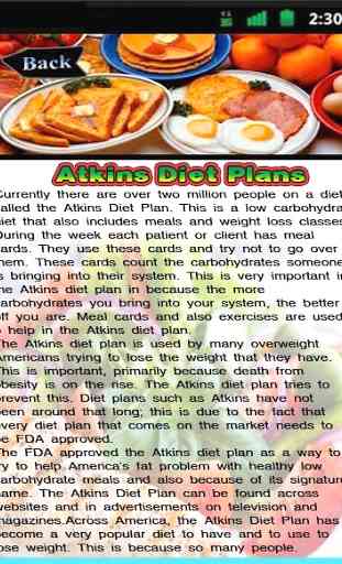 Atkins Diet Plans 1