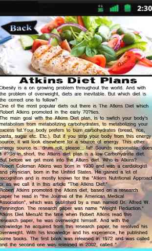 Atkins Diet Plans 2