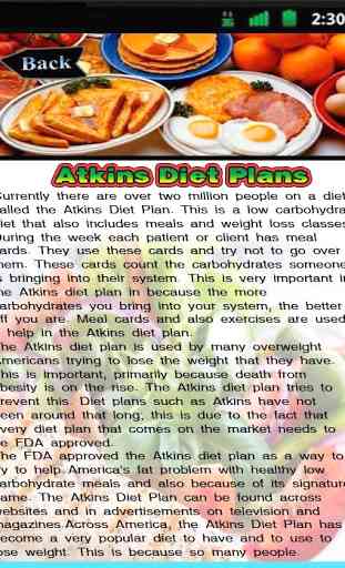 Atkins Diet Plans 3