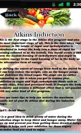 Atkins Induction 1