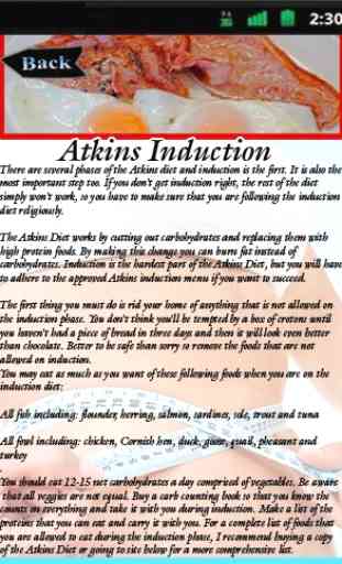 Atkins Induction 2
