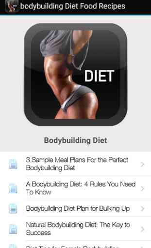 Bodybuilding Diet Food Recipes 3