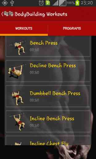 Bodybuilding Workouts 2
