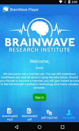 Brainwave Player 2