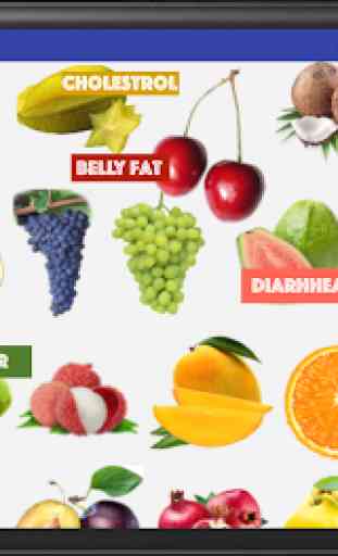 Doctor Fruit - Healthy Fruit 1