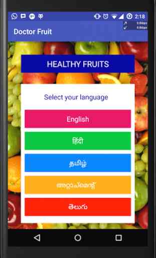 Doctor Fruit - Healthy Fruit 3