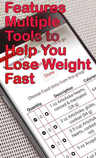 Healthy Weight Loss Planner 2