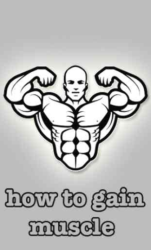 How To Gain Muscle 1