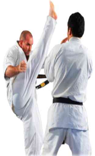 Martial Arts Training 4