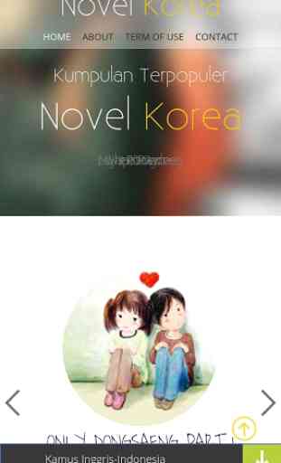 Novel Romance 1