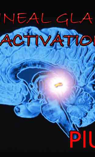 Pineal Gland Activation Plus 1