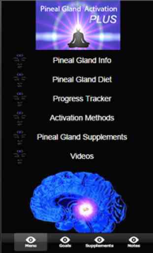 Pineal Gland Activation Plus 4