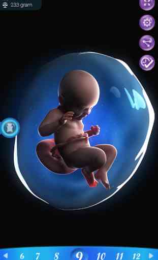PregApp - 3D Pregnancy Tracker 3