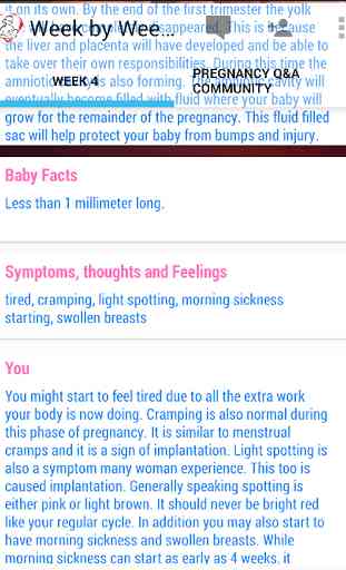 Pregnancy Stages 3