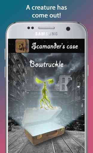 Scamander's case 3