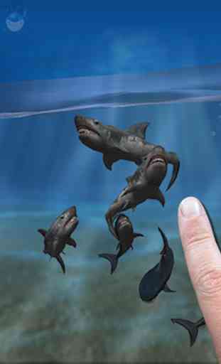 Shark Fingers 3D Aquarium FREE 1