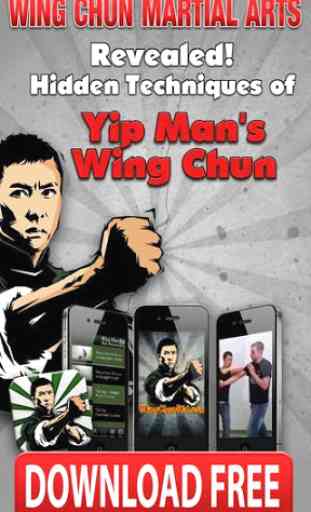 Wing Chun Martial Arts FREE 1