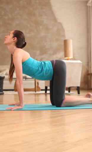 Yoga Flexibility for Beginners 2