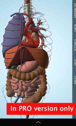 Anatomy 3D - Anatronica 3
