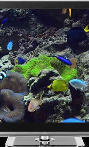 Aquariums on TV via Chromecast 2