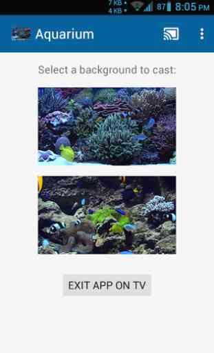 Aquariums on TV via Chromecast 3