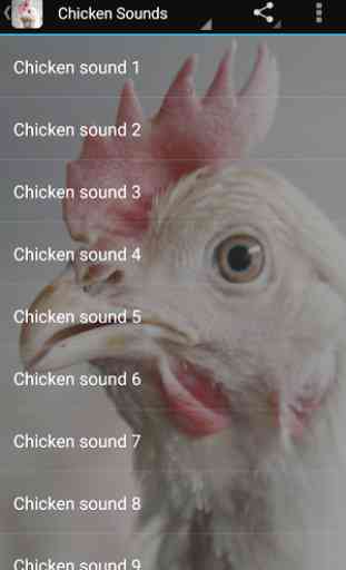 Chicken Sounds 3