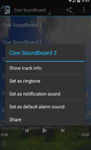 Cow Sounds 1