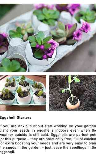DIY Gardening Tips 3
