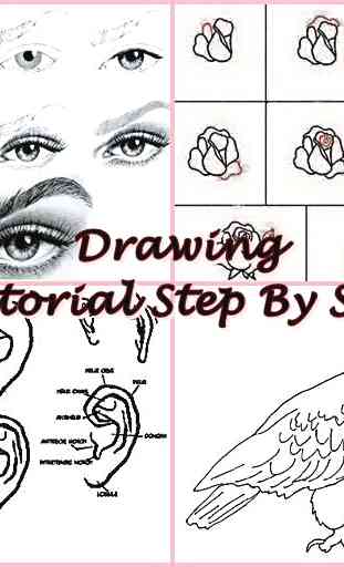 Drawing Tutorial Step By Step 2