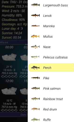 Fishing forecast 2