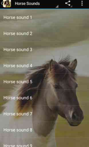 Horse Sounds 1