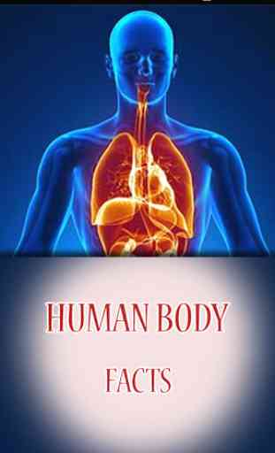Human Body Amazing Facts 1