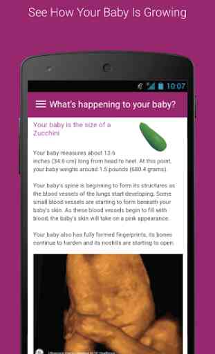 I’m Expecting - Pregnancy App 3