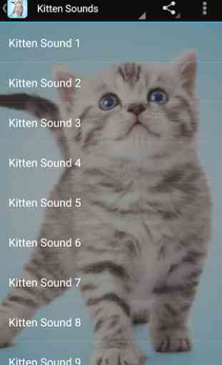 Kitten Sounds 1
